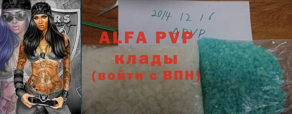 прущие грибы Вязники