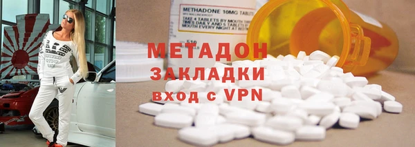 прущие грибы Вязники