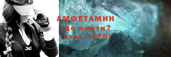 прущие грибы Вязники