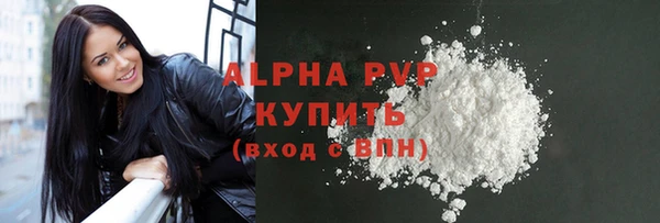 прущие грибы Вязники