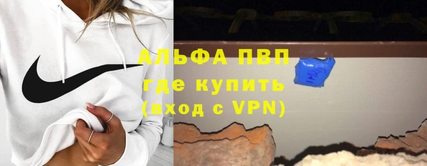 прущие грибы Вязники