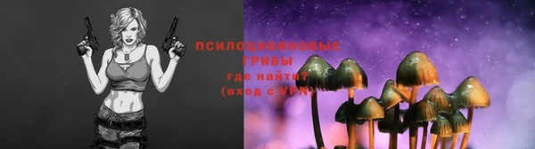 spice Вязьма