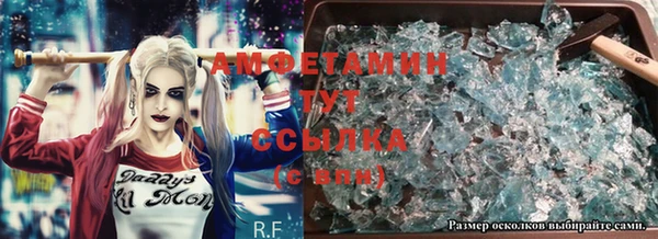 прущие грибы Вязники