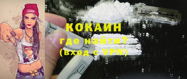 прущие грибы Вязники