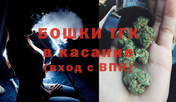 прущие грибы Вязники