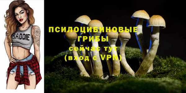 каннабис Вяземский